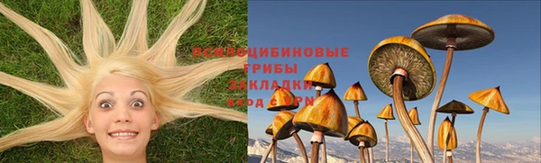 бутират Горняк