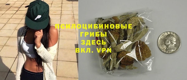 бутират Горняк