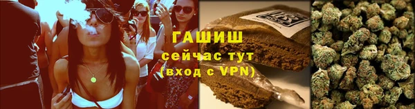 гидра Горно-Алтайск