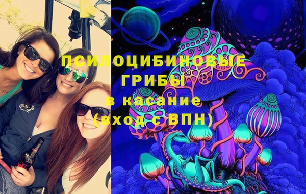 бутират Горняк