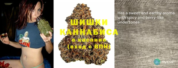 apvp Горнозаводск