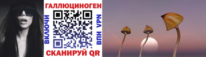 hydra онион Грязовец Псилоцибиновые грибы прущие грибы